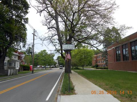 DSCN1538.jpg